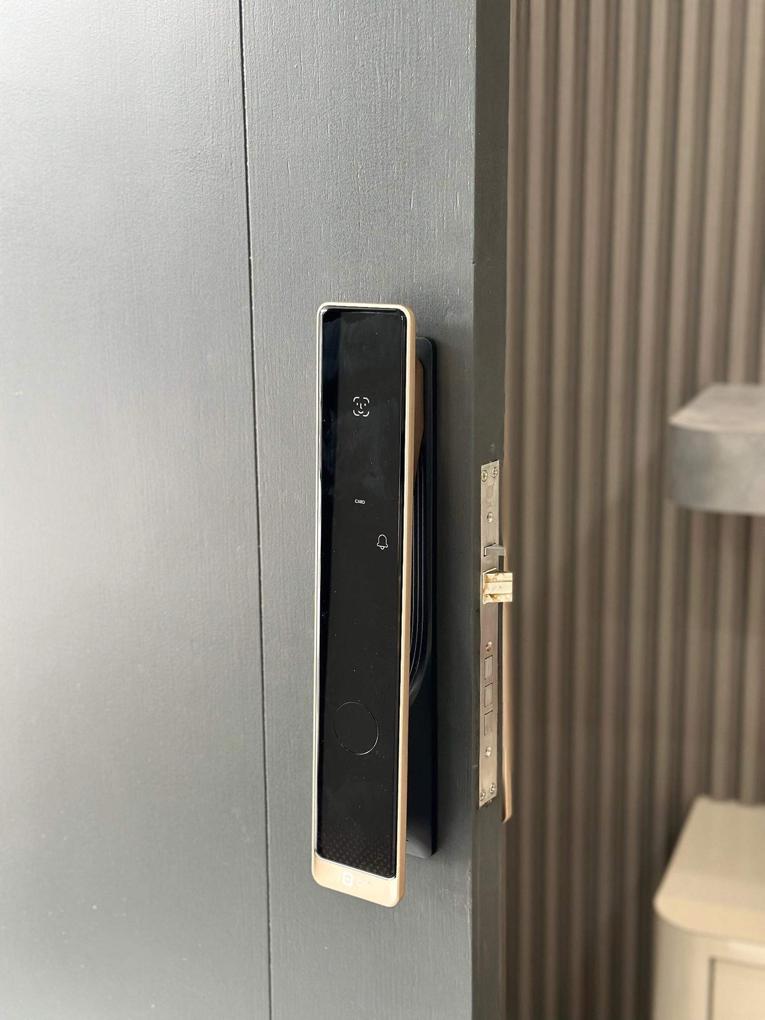 SAM -S50 Smart Grill Lock